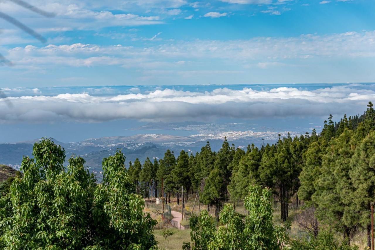 Roque Nublo Rural Houses I 베가데산마테오 외부 사진